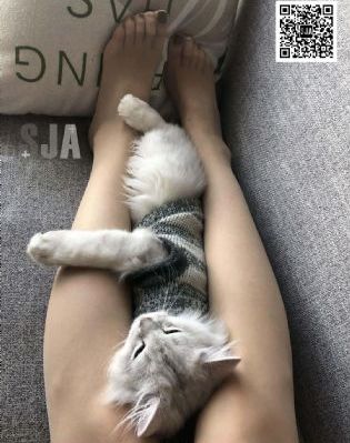 白夜追凶第三季_国语版全集